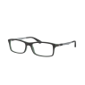 Ray-Ban Optical  RX7017