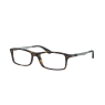 Ray-Ban Optical  RX7017