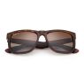 Ray Ban Justin RB4165 Ray Ban Justin RB4165