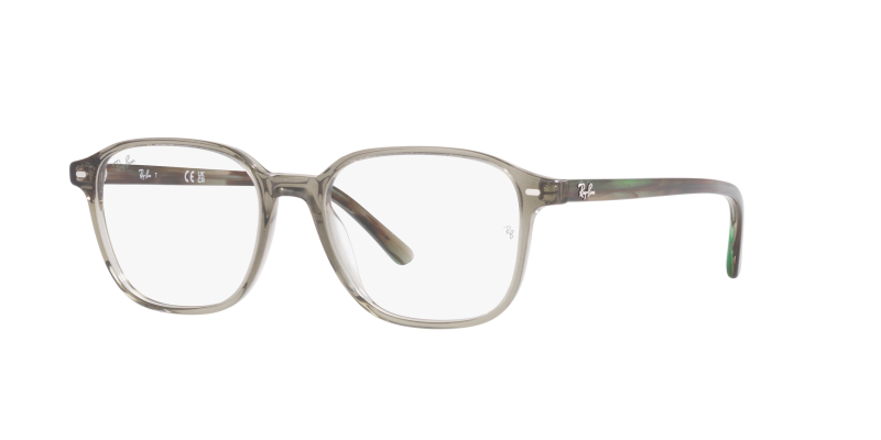 Ray-Ban Optical LEONARD RX5393F