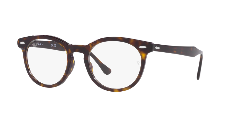 Ray-Ban Optical EAGLEEYE RX5598