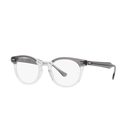 Ray-Ban Optical EAGLEEYE RX5598