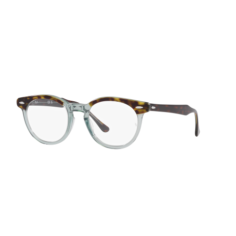 Ray-Ban Optical EAGLEEYE RX5598