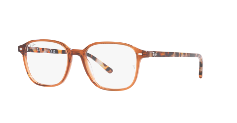 Ray-Ban Optical LEONARD RX5393F