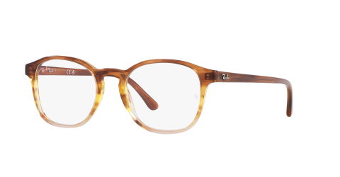 Ray-Ban Optical  RX5417