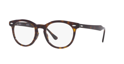 Ray-Ban Optical EAGLEEYE RX5598