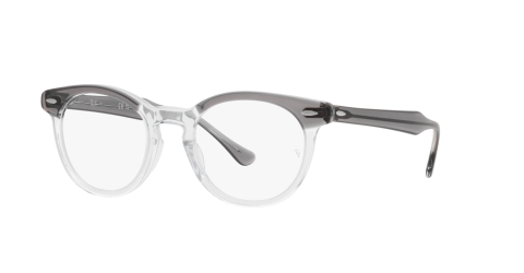 Ray-Ban Optical EAGLEEYE RX5598