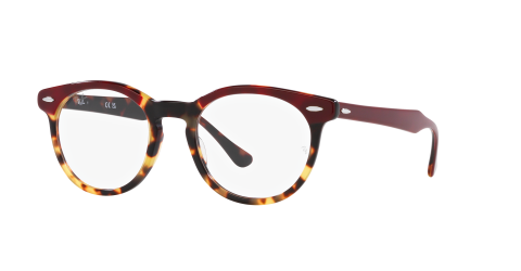 Ray-Ban Optical EAGLEEYE RX5598