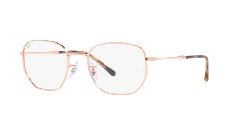 Ray-Ban Optical  RX6496