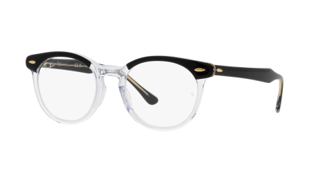 Ray-Ban Optical EAGLEEYE RX5598F